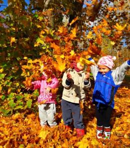 осень на дворе 2022