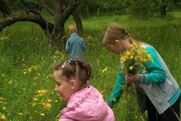 Экскурсия в парк "Знакомство с лекарственными растениями"